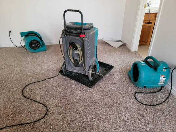 Best Flood damage cleanup  in Goldens Bridge, NY