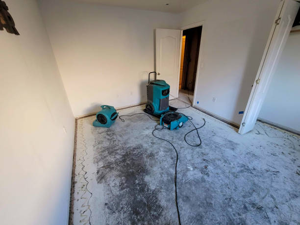 Best Fire Damage Restoration  in Goldens Bridge, NY