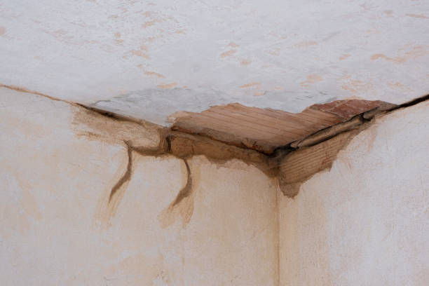 Best Professional water damage repair  in Goldens Bridge, NY