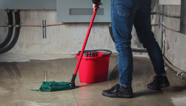 Best Flooded house restoration  in Goldens Bridge, NY