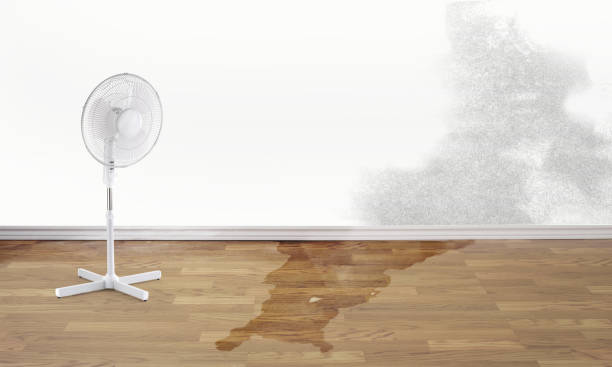 Goldens Bridge, NY Water damage restoration Company