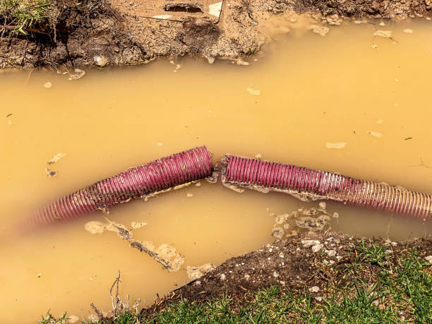 Best Commercial water damage restoration  in Goldens Bridge, NY