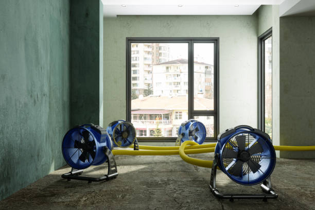 Best Residential water damage restoration  in Goldens Bridge, NY